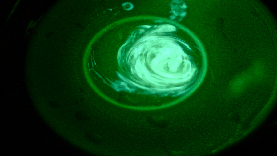 glow-stick-fluid-a-mixture-of-peroxide-and-phenyl-oxalate-ester